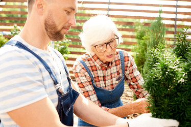 Similar image 20888335