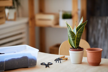 Similar image 20807286