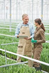 Similar image 20810516