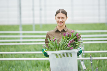 Similar image 20800737