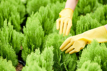 Similar image 20874392