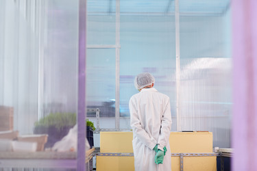 Similar image 20798527