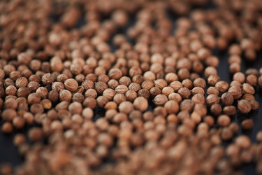 Similar image 20797774