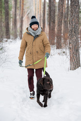 Similar image 20805959