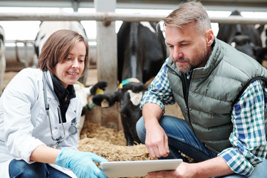 Similar image 20884884