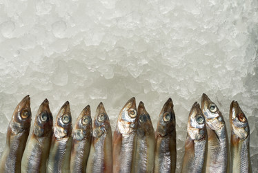 Similar image 20827921