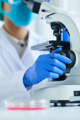 Similar image 20806205