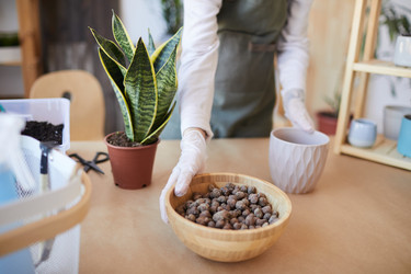 Similar image 20796435