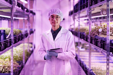 Similar image 20804121