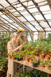 Similar image 20790433