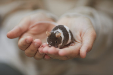 Similar image 20799097