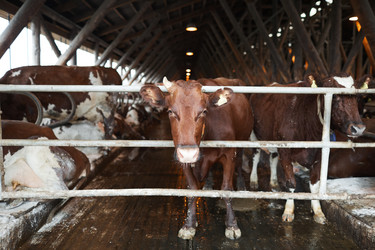 Similar image 20791045