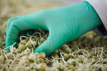 Similar image 20829998