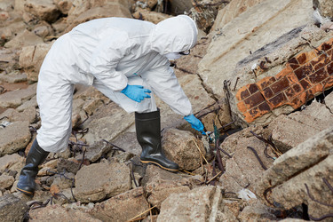 Similar image 20823609