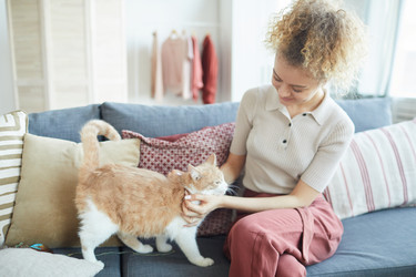 Similar image 20825104