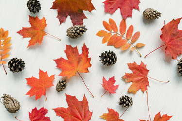 Similar image 20855923