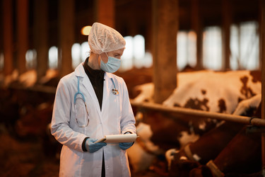 Similar image 20834019