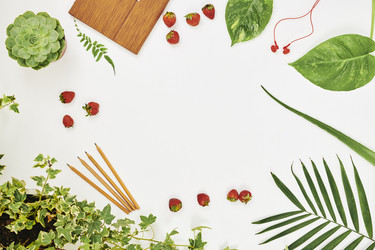 Similar image 20871075