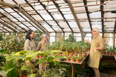 Similar image 20789787