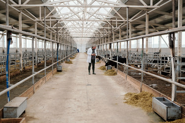 Similar image 20800131