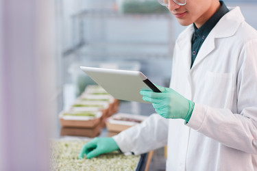 Similar image 20807109