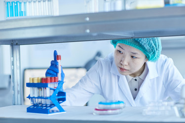 Similar image 20810084