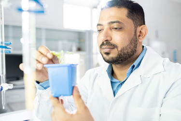 Similar image 20877054