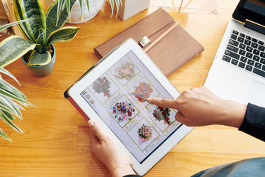 Similar image 20860251