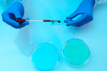 Similar image 20826296