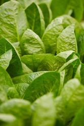 Similar image 20790914