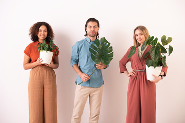 Similar image 20798996