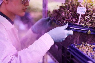 Similar image 20818952