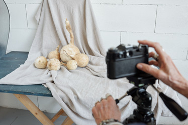 Similar image 20829615