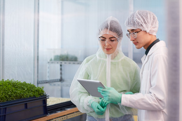 Similar image 20831990