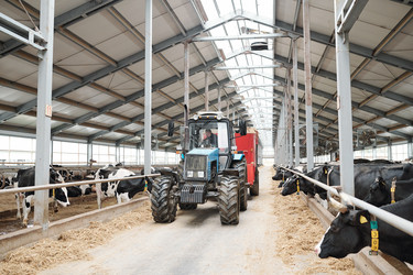 Similar image 20867244