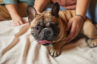 Similar image 20810928