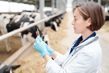 Similar image 20879623