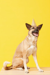 Similar image 20800601