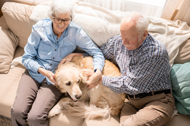 Similar image 20860722