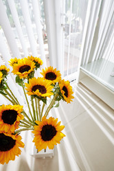 Similar image 20798267