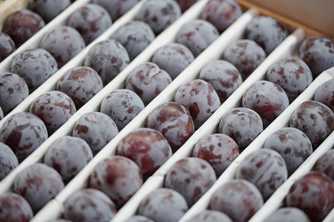 Similar image 20809033