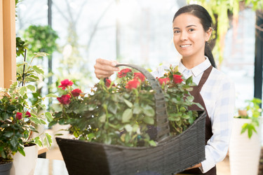 Similar image 20848814