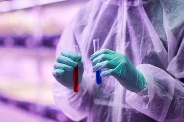 Similar image 20807795