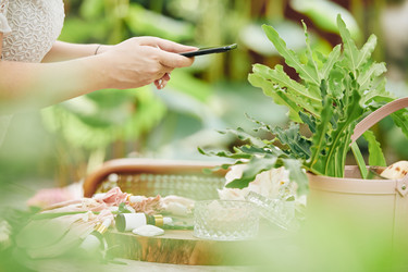 Similar image 20872366