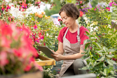 Similar image 20858072