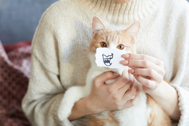 Similar image 20797861