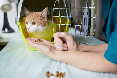 Similar image 20828319