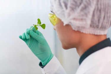 Similar image 20793635