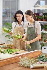 Similar image 20799588