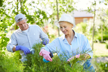 Similar image 20875084